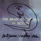 PETER BRTZMANN / FRED LONBERG-HOLM, The Brain Of The Dog In Section