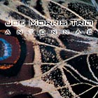 Joe Morris Trio Antennae