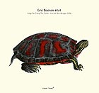 ERIC BOEREN QUARTET, Song For Tracy The Turtle