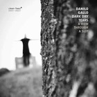 DANILO GALLO DARK DRY TEARS, A View Through A Slot