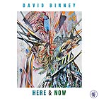 DAVID BINNEY, Here & Now
