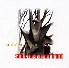  Sonic Liberation Front, Ash A Go-go