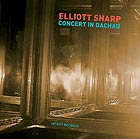 ELLIOTT SHARP Concert in Dachau