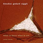  BIONDINI / GODARD / NIGGLI What Is There What Is Not