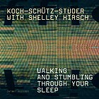  KOCH / SCHUTZ / STUDER / HIRSCH, Walking And Stumbling Through Your Sleep