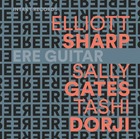 ELLIOTT SHARP / SALLY GATES / TASHI DORJI Ere Guitar