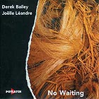 Derek Bailey / Joelle Landre No Waiting