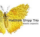MATTHEW SHIPP TRIO Elastic Aspects