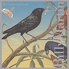 Billy Martin, Starlings